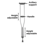 Crutches Pair- Height Adjustable - Image 3
