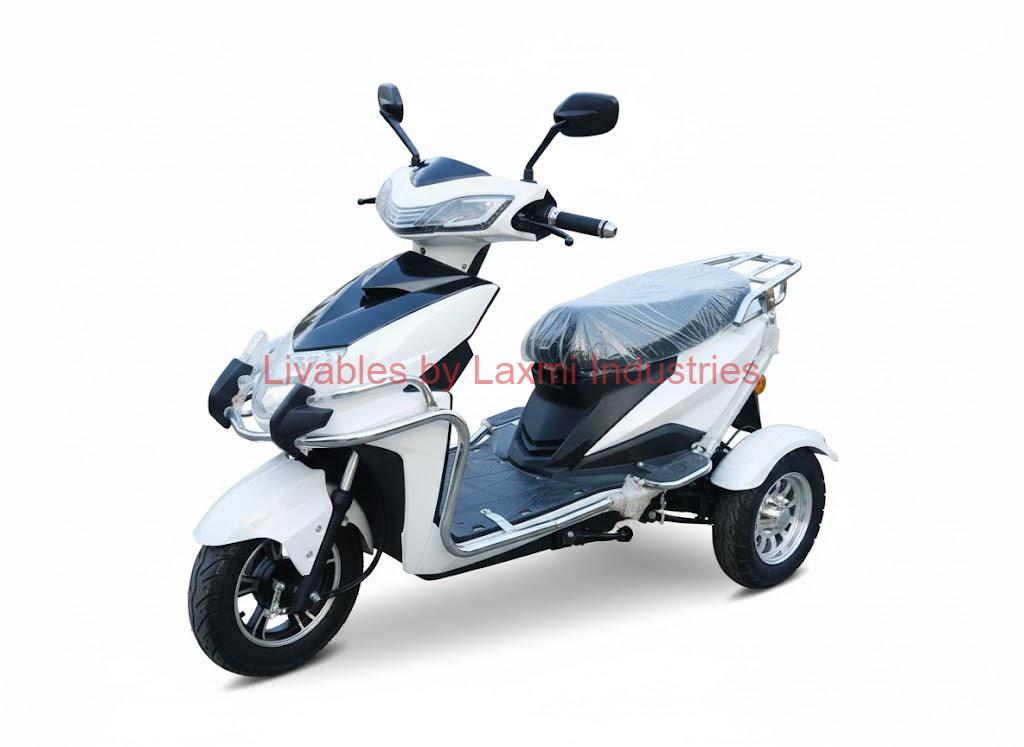 ehs-2 Electric handicap scooter - Image 1