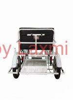 Maharaja Wheelchair - Image 2