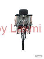 Electric Handicap Tricycle - Image 3