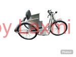 Electric Handicap Tricycle